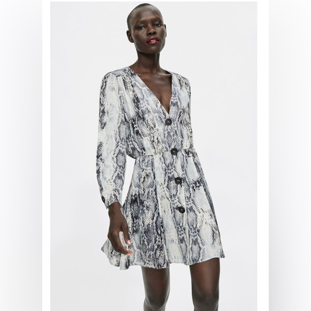 Zara snake print mini dress